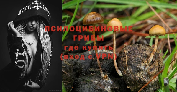 прущая мука Лиски
