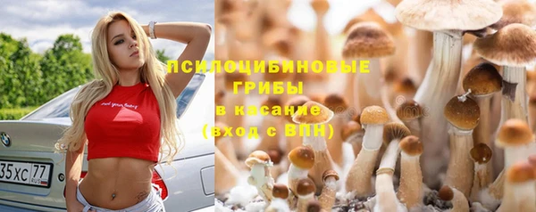 прущая мука Лиски