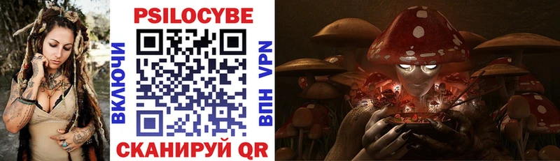МЕГА онион  цены   Новая Усмань  Псилоцибиновые грибы ЛСД 